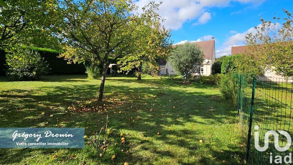 Photo 4 - Maison à LARCHANT