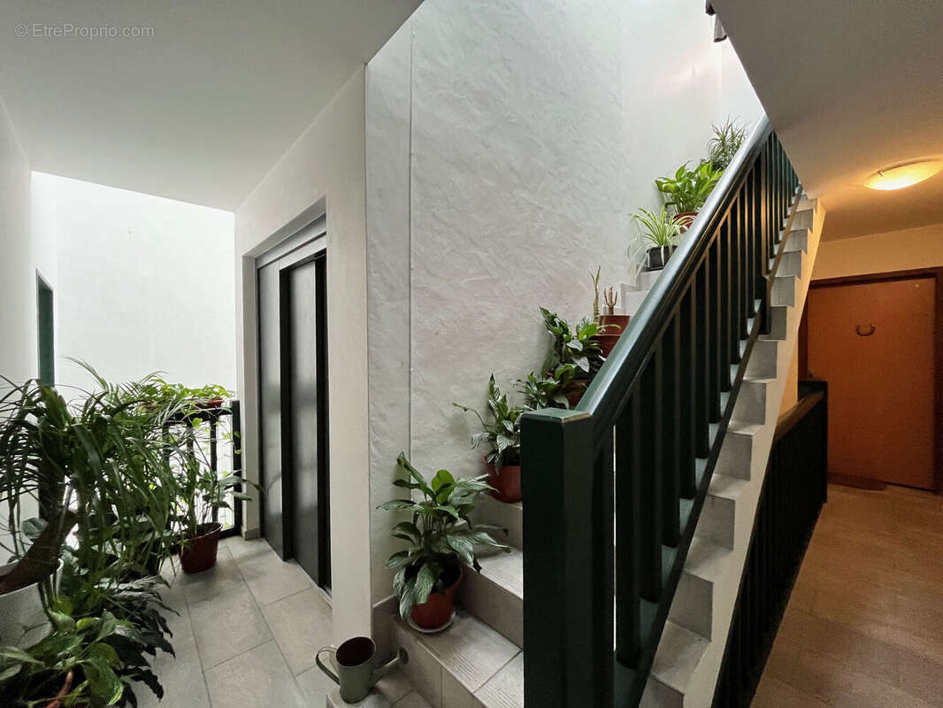 Photo 9 - Appartement à SAINT-JEAN-PIED-DE-PORT