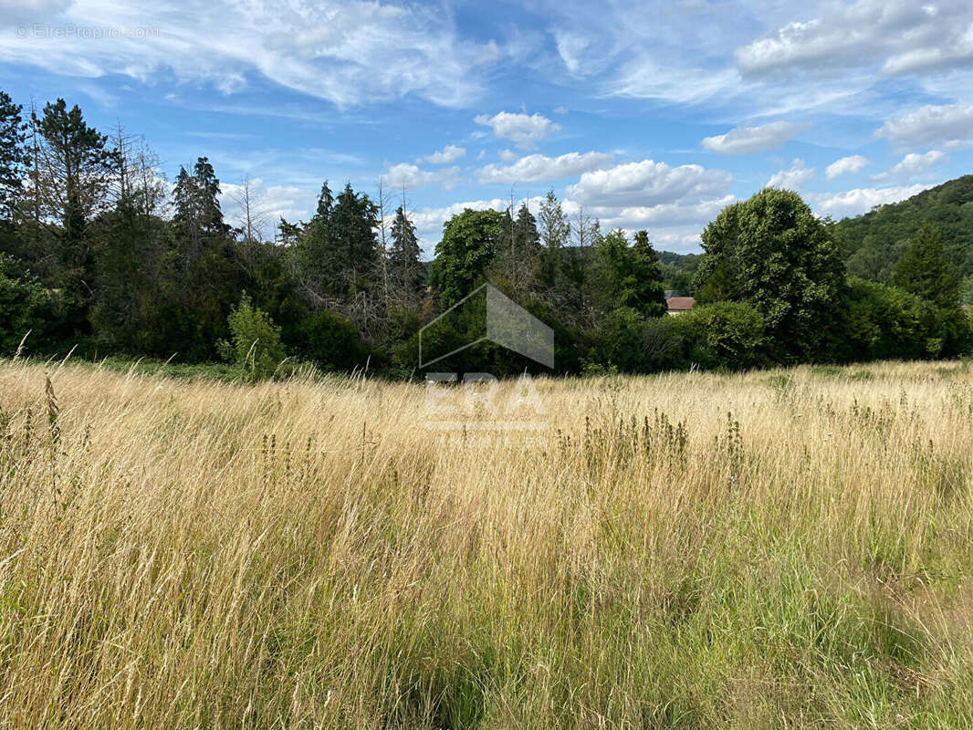 Terrain à BRANCOURT-EN-LAONNOIS