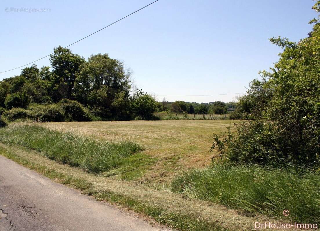 Terrain à ARCHIGNY