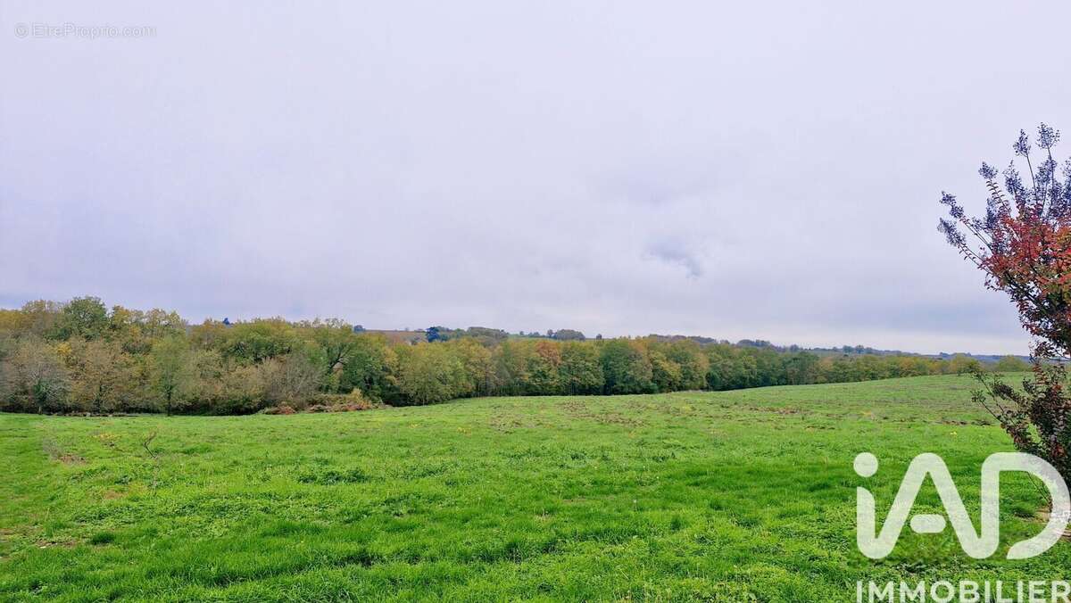 Photo 4 - Maison à PINEUILH