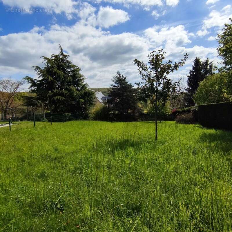 Terrain à MONTLIGNON