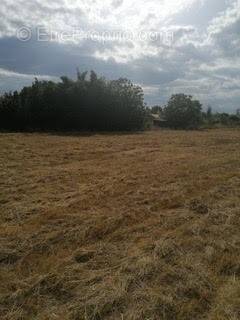 Terrain à MIREPOIX-SUR-TARN