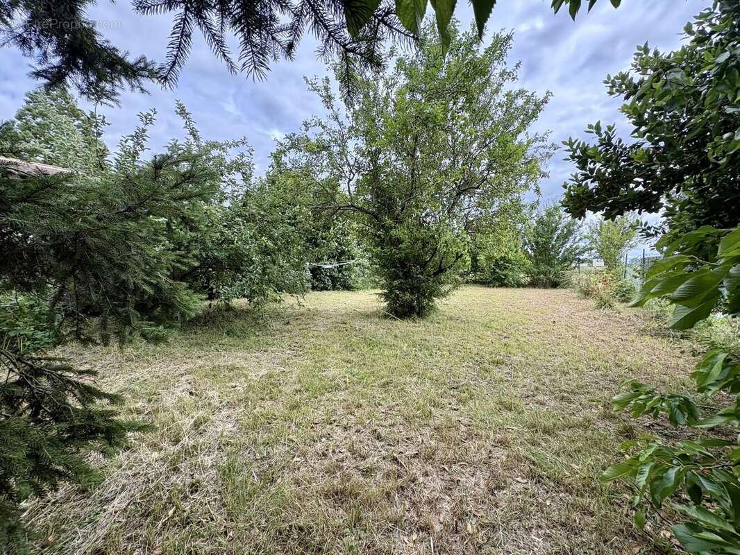 Maison 88 m² à Bazoches-Les-Gallerandes  - photo 7