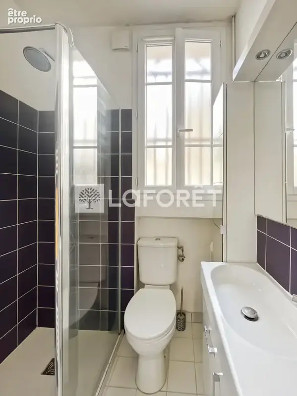 Charmant 4 pièces avec souplex - HABITITATION OU LOCAL - Quartier Charentonneau - photo 8