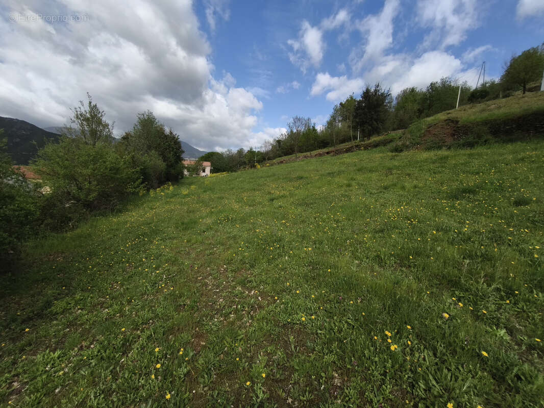 Terrain constructible de 2300m2 sur Ponte Novu - photo 7