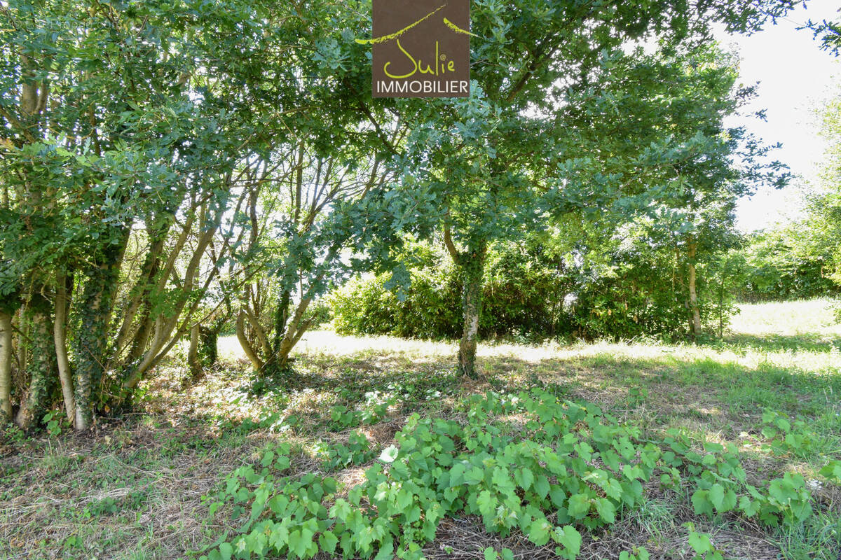 Terrain à BRETIGNOLLES