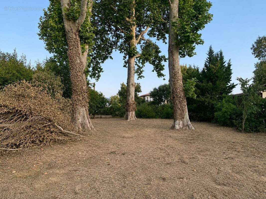 Maison 310 m² à Cugnaux  - photo 5