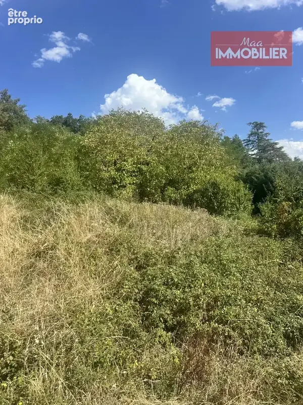 LA FOUILLOUSE – Terrain à bâtir 1 650 m² – Vue dégagée – 225 000 € - photo 3