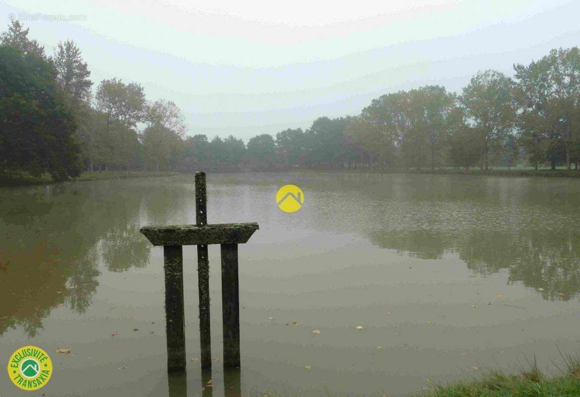 Maison à LAMOTTE-BEUVRON