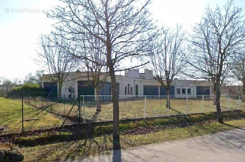 Commerce à GONDREVILLE