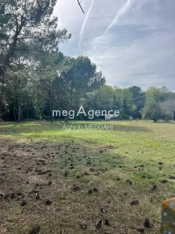Royan – Terrain viabilisé de 235 m² pour votre futur projet immobilier - photo 2