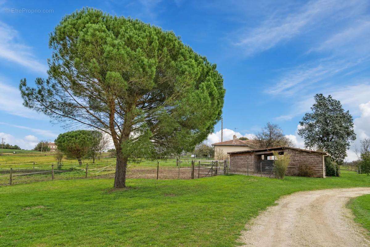 Maison à CABANAC-SEGUENVILLE