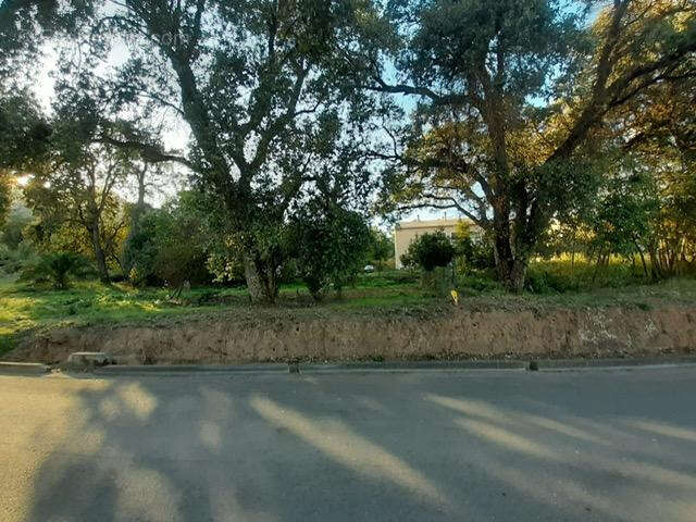 Terrain à SAN-NICOLAO