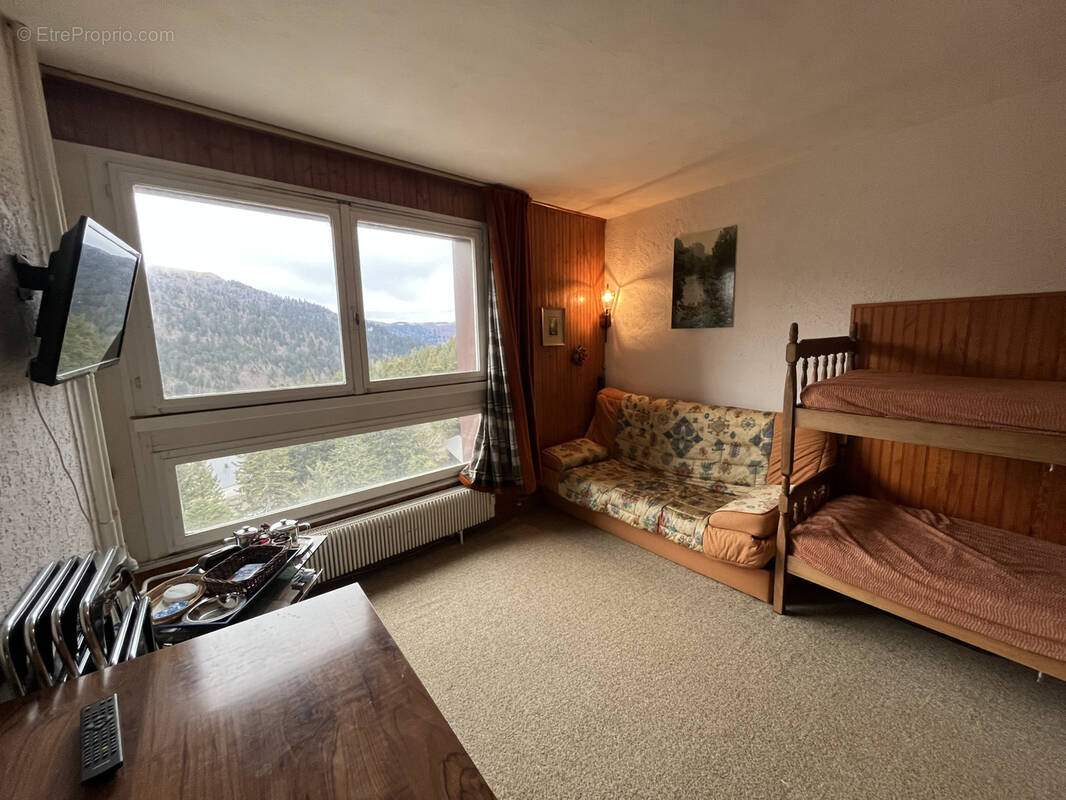 Appartement à LAVEISSIERE