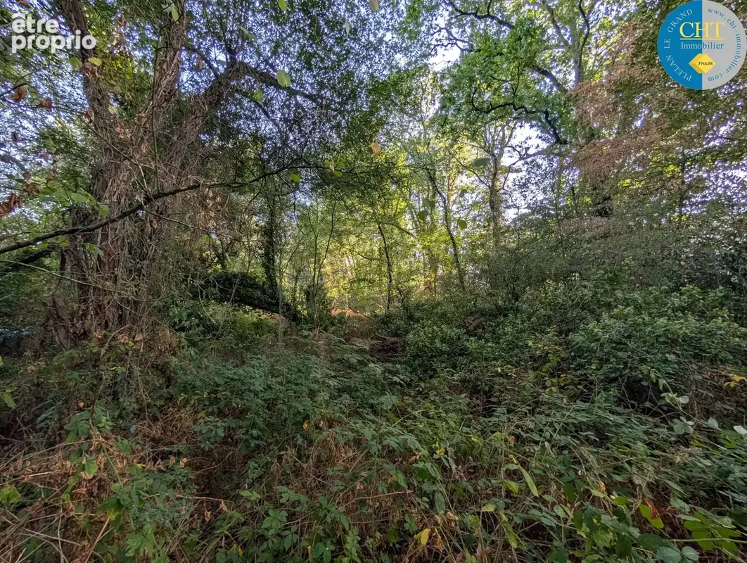 Magnifique terrain boisé de 9 420 m2 à guer - bellevue (56380) avec cht immobilier - photo 5