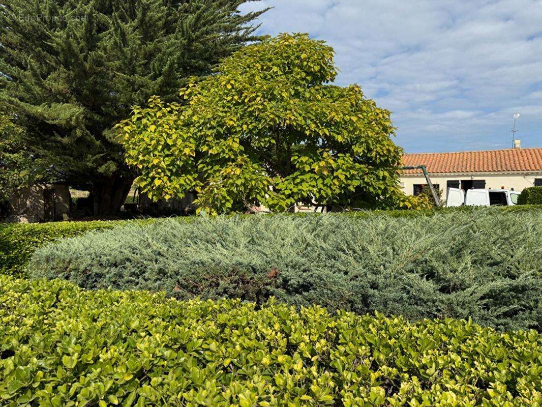 17190 - " Ancienne ferme" - Ensemble Immobilier 10 pièce(s) 147 m2 - LILEAU - - photo 11