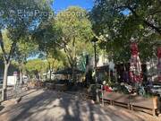 Commerce à MARSEILLE-6E