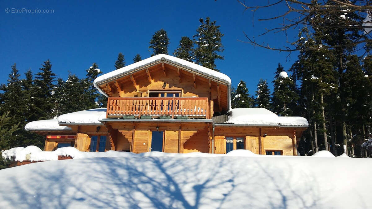 Magnifique Chalet en madrier sur 7259 m2 de terrain - photo 3