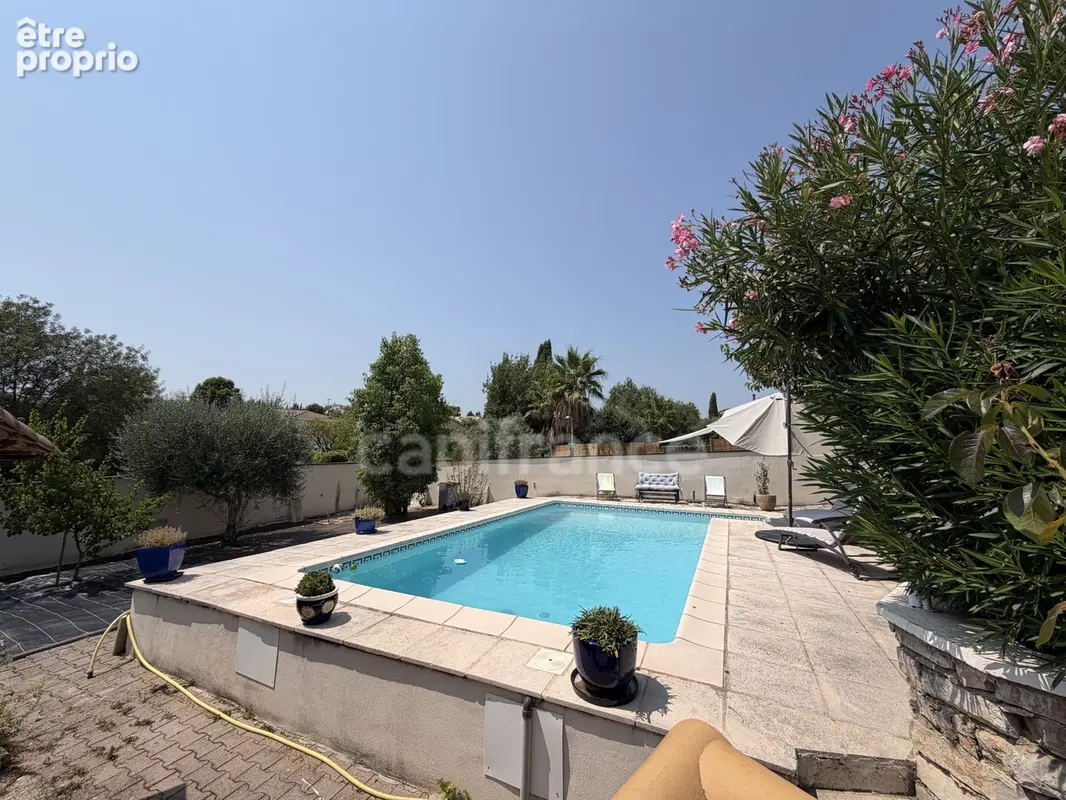 Rare sur le secteur de Saint Gély du Fesc - photo 2