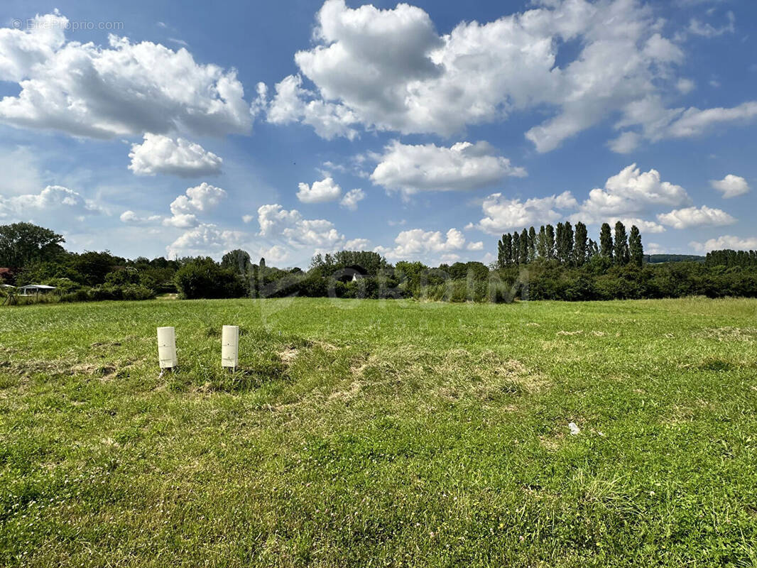 Terrain à SANCERRE