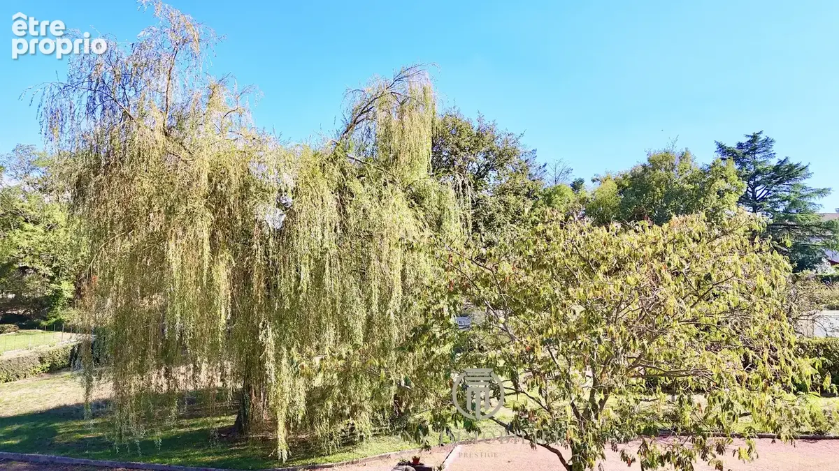 Maison 4 chambres, grande  pièce de vie avec terrasse, garage, cave et grand jardin dans un quartier résidenti - photo 22