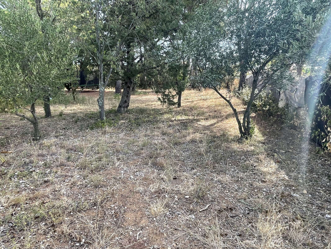 Terrain à SAINT-JEAN-DE-FOS