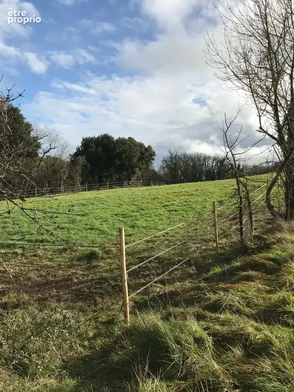 Maison 217 m² à Chateauneuf-Sur-Charente  - photo 25