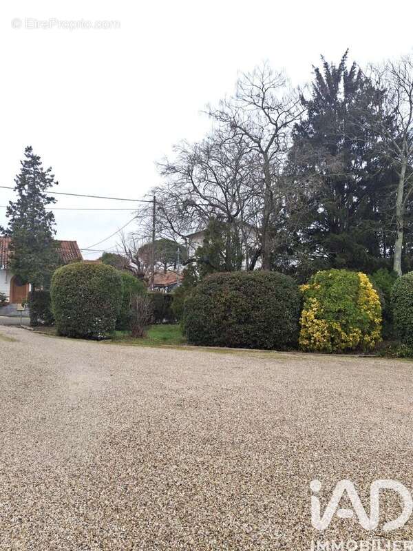 Appartement 157 m² à Montauban  - photo 6