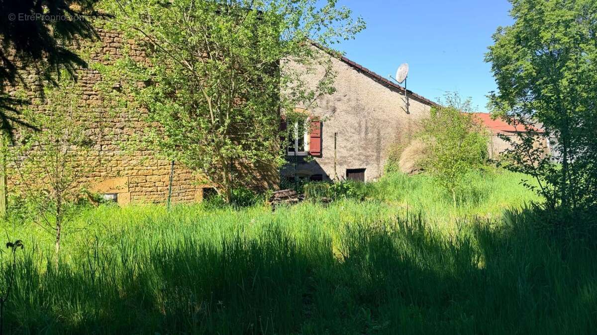 Villecloye maison 3 chambres avec grange, atelier, garage et beau terrain - photo 2