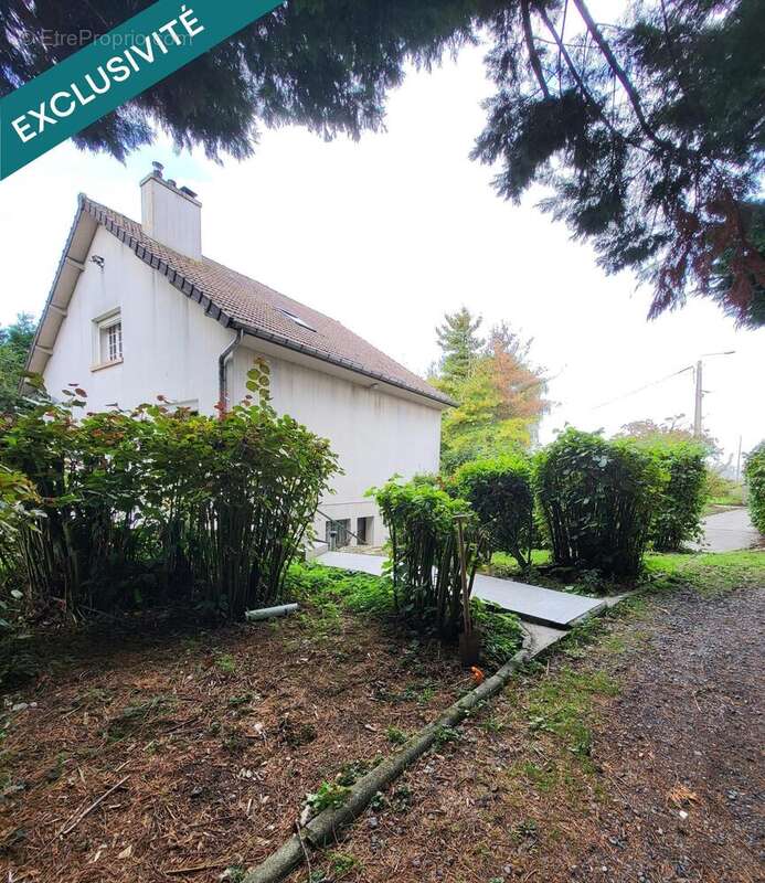 Photo 2 - Maison à MAILLY-MAILLET