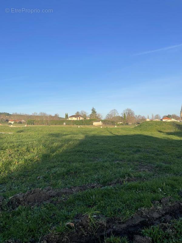 Terrain à ANTONNE-ET-TRIGONANT