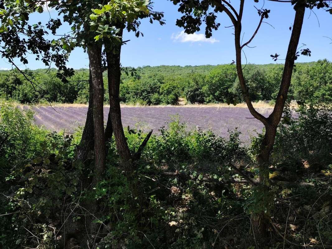 Photo 3 - Maison à VIENS