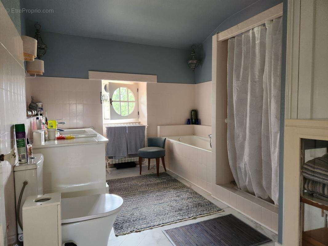 Très Belle maison de caractère  dans parc de 26900 m2 - photo 23