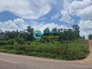 Terrain à SAINT-LAURENT-DU-MARONI