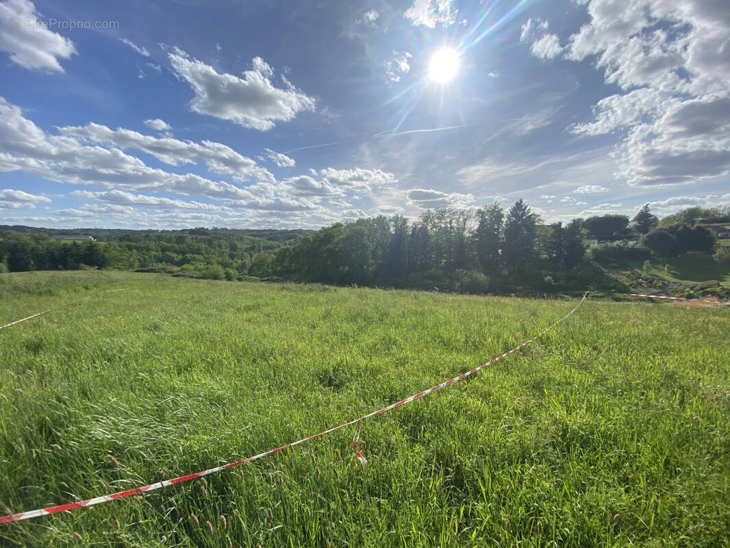 Terrain à COSNAC