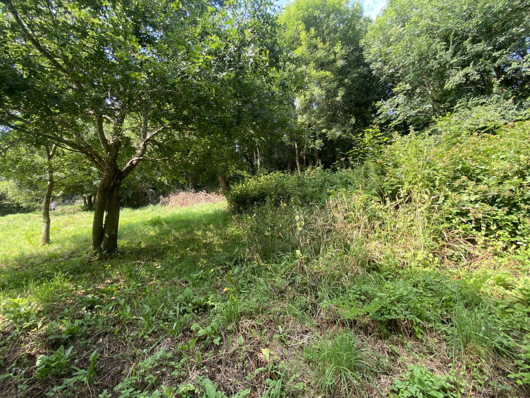 Terrain à QUIMPER