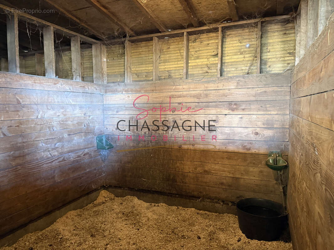 À 20 minutes de Lacanau, sur plus de 10 hectares, écurie de propriétaires avec maison de 80 m2 et installation - photo 8