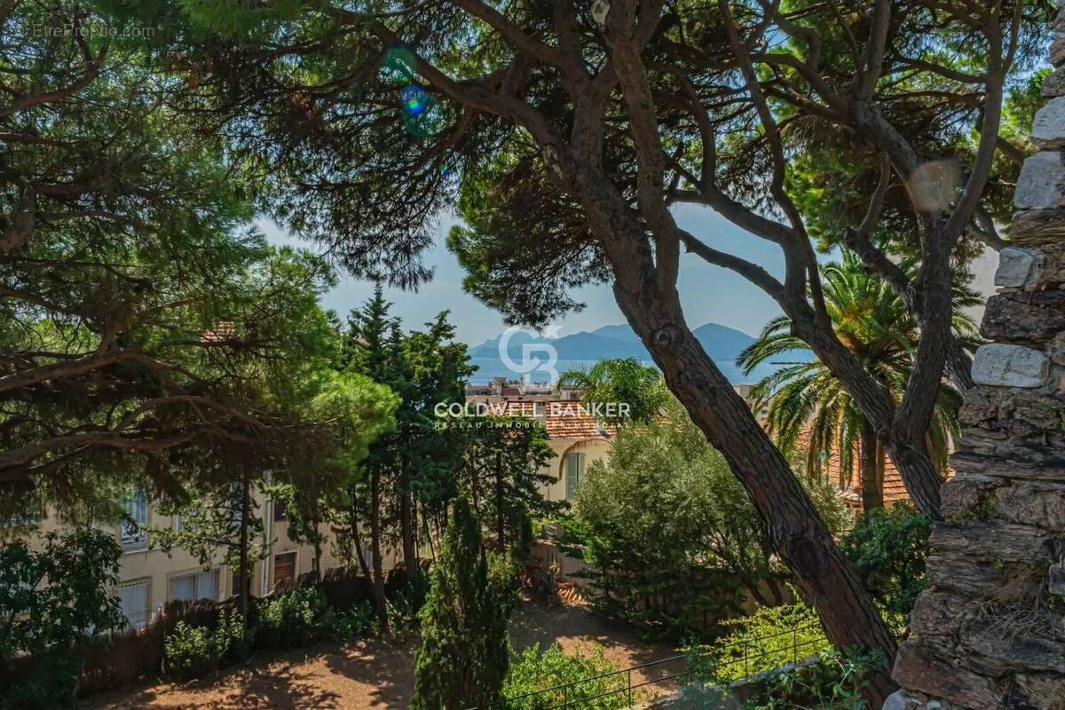 Maison à CANNES