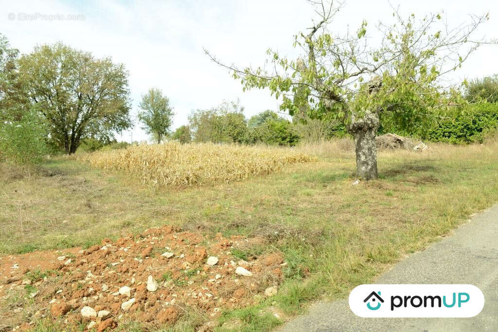 Terrain à FLORESSAS