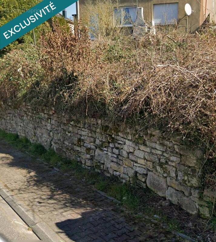 Photo 1 - Terrain à FARSCHVILLER