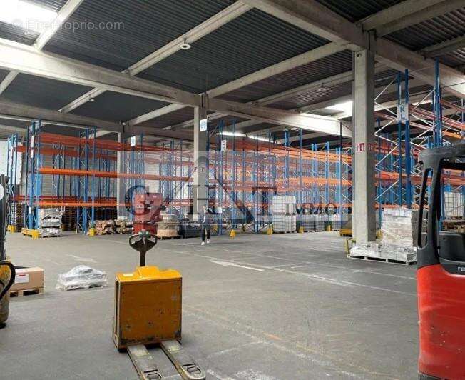 3500 m² entrepot à vendre à CROISSY BEAUBOURG - photo 2