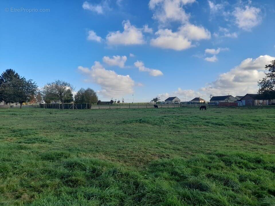 Terrain à PERRIERS-LA-CAMPAGNE