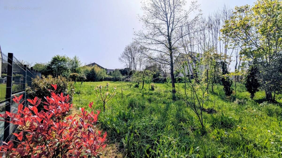 Terrain à PLOMODIERN