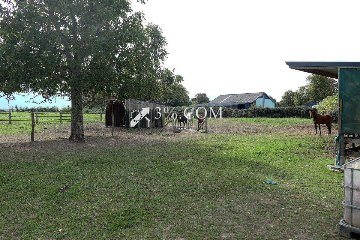 Maison à PREUSEVILLE