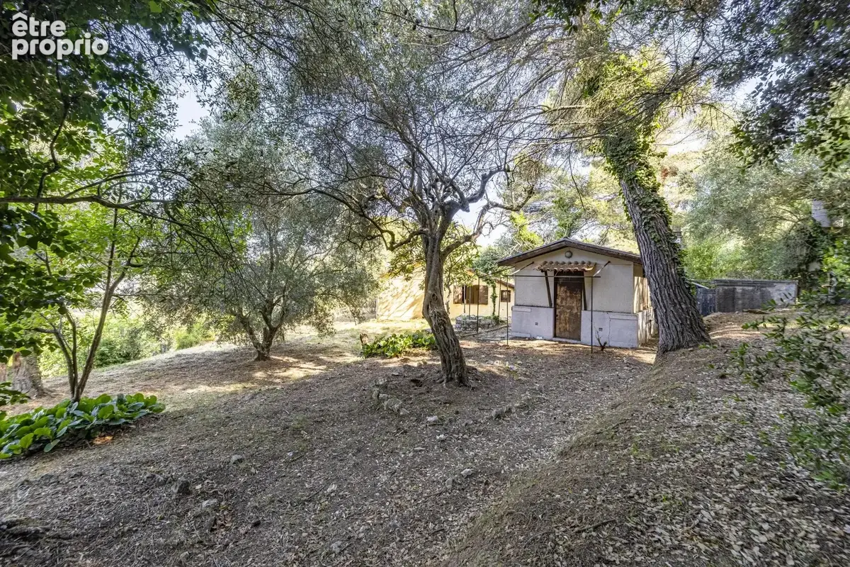 Nice - Vinaigrier -  Maison et dépendance à rénover sur terrain plat de 4.800 m² avec vue mer - photo 11