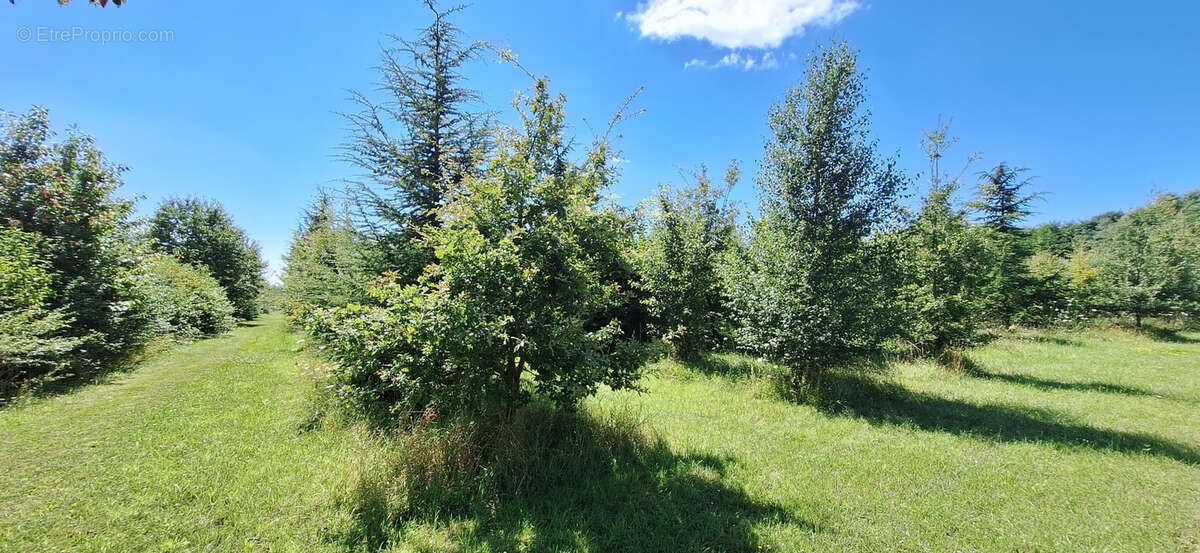 Maison à BUSSY-EN-OTHE