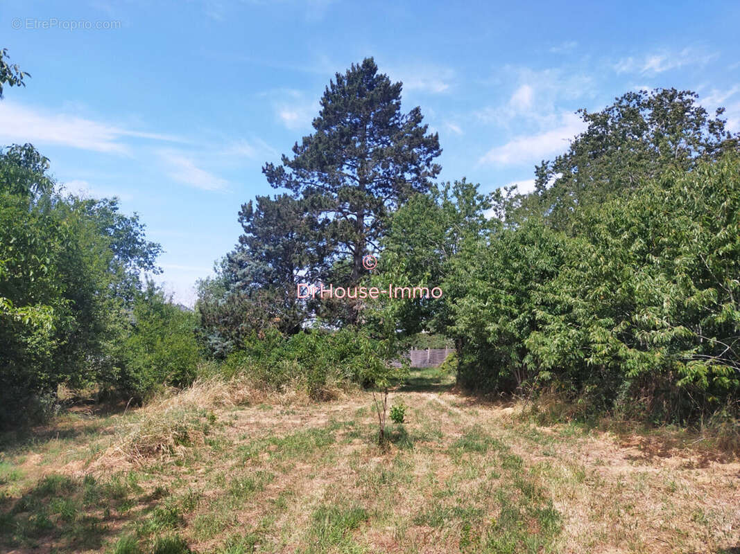 Terrain à BEAUVOIR