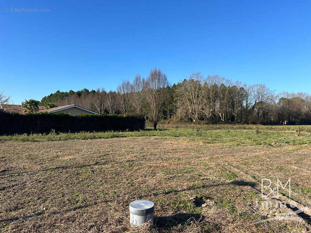 Terrain à SEIGNOSSE