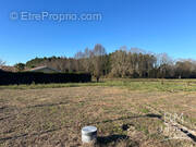 Terrain à SEIGNOSSE